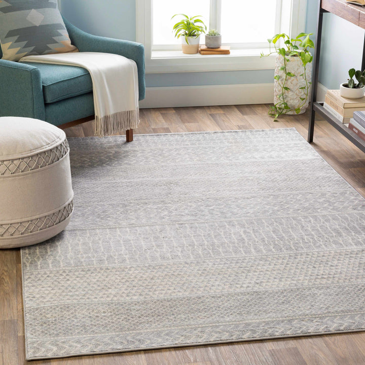 Bingham Modern Geometrical Design Gray Area Rug