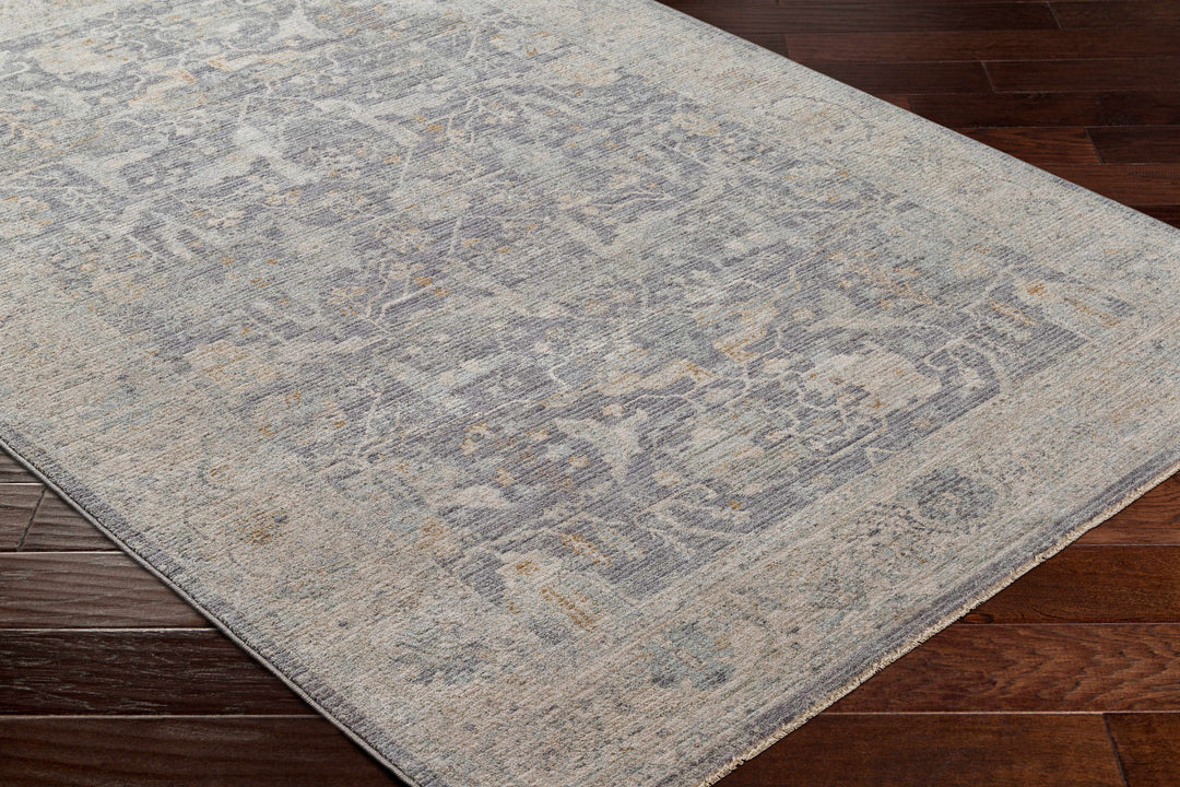 Binx Traditional Style Gray And Ivory Rug