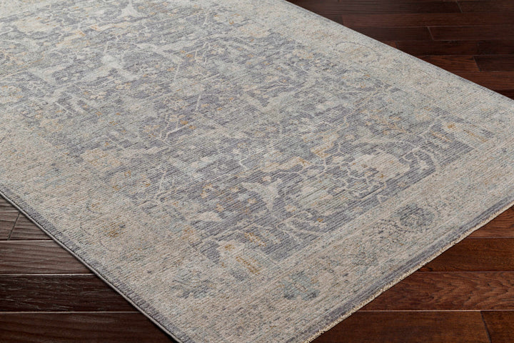 Binx Traditional Style Gray And Ivory Rug