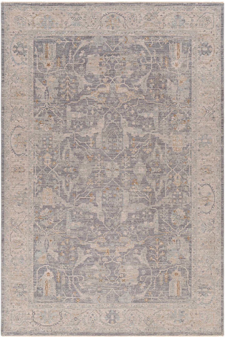 Binx Traditional Style Gray And Ivory Rug