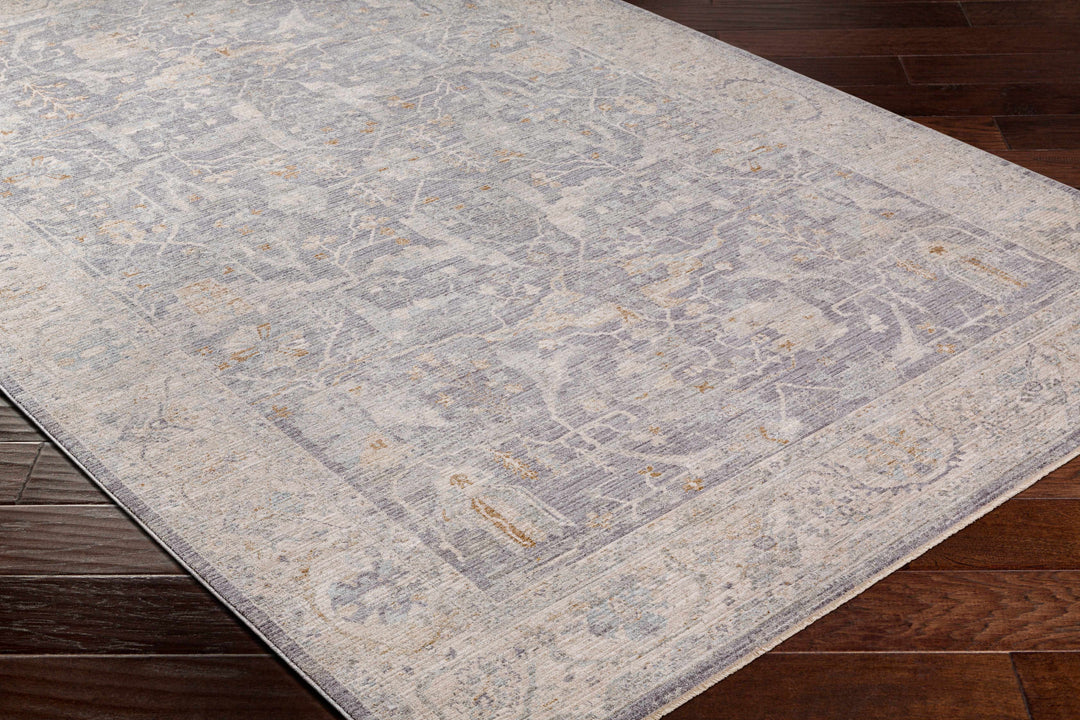 Binx Traditional Style Gray And Ivory Rug