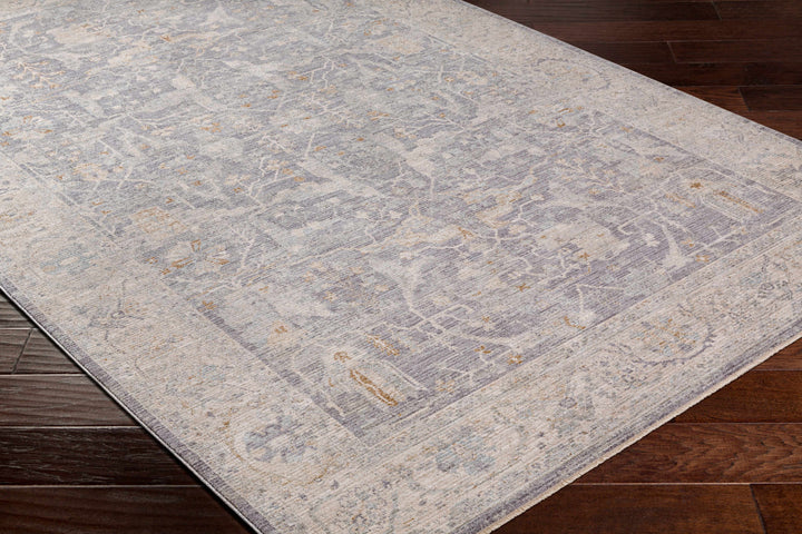 Binx Traditional Style Gray And Ivory Rug