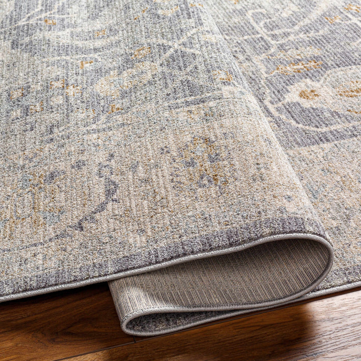 Binx Traditional Style Gray And Ivory Rug