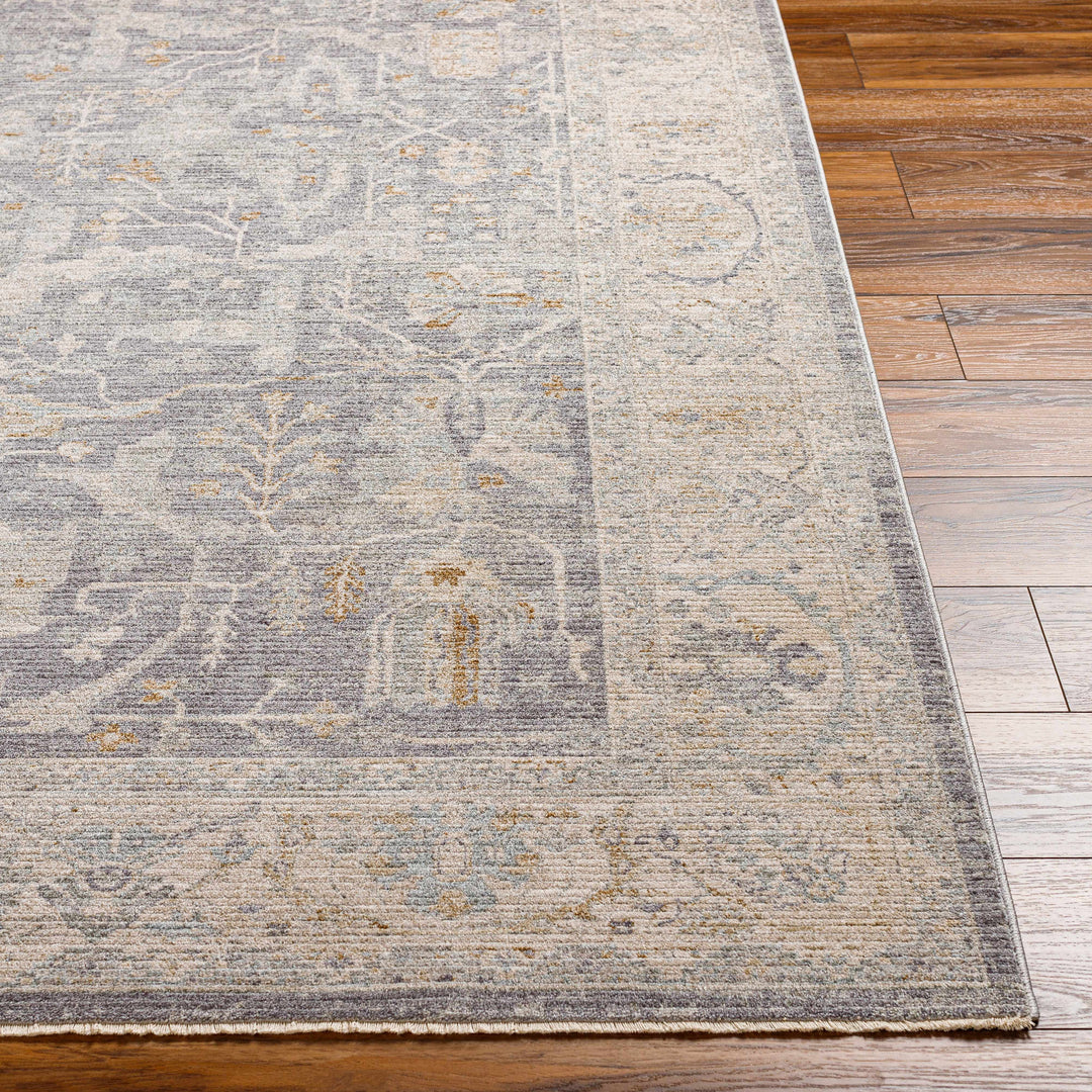 Binx Traditional Style Gray And Ivory Rug
