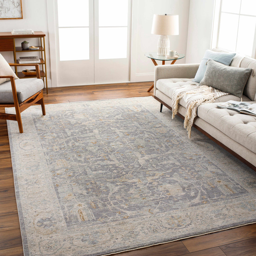 Binx Traditional Style Gray And Ivory Rug
