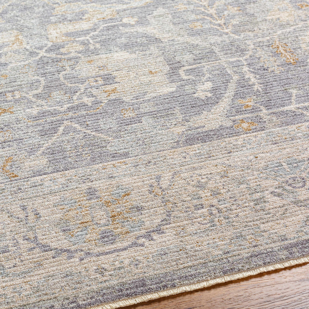 Binx Traditional Style Gray And Ivory Rug