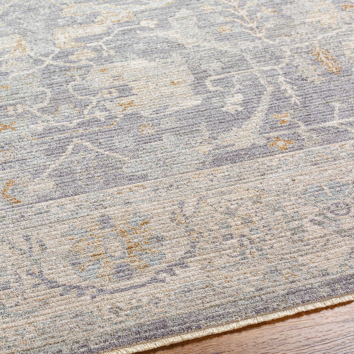 Binx Traditional Style Gray And Ivory Rug