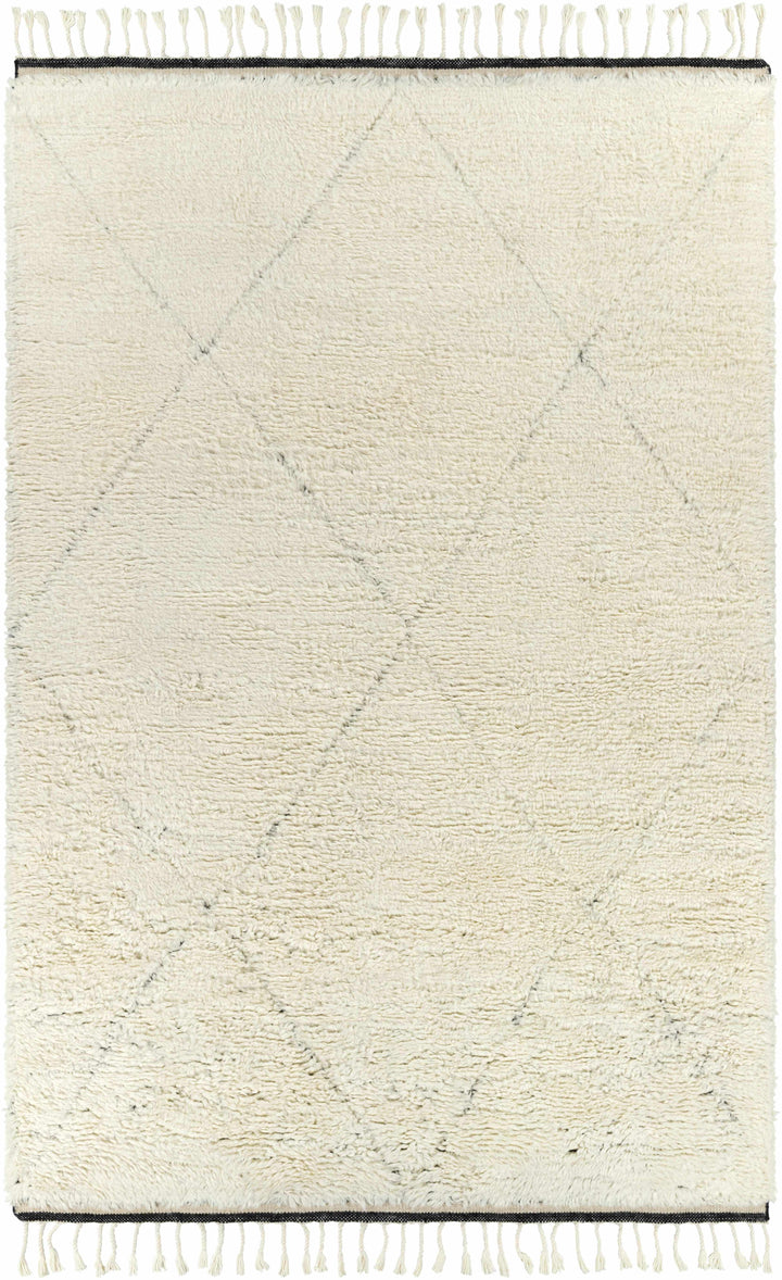 Birdwell Modern Style Ivory And Black Hand Knotted Area Rug
