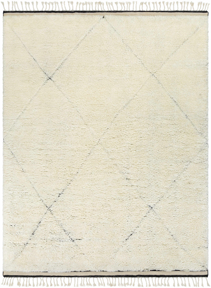 Birdwell Modern Style Ivory And Black Hand Knotted Area Rug