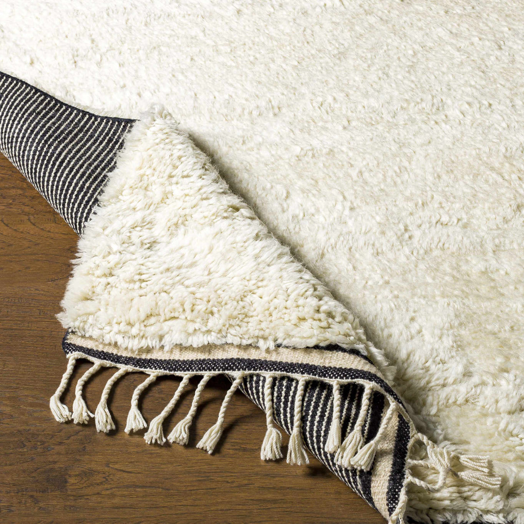 Birdwell Modern Style Ivory And Black Hand Knotted Area Rug