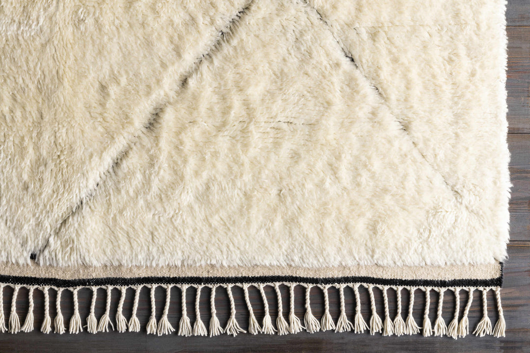 Birdwell Modern Style Ivory And Black Hand Knotted Area Rug