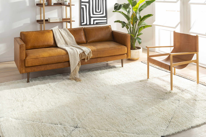 Birdwell Modern Style Ivory And Black Hand Knotted Area Rug