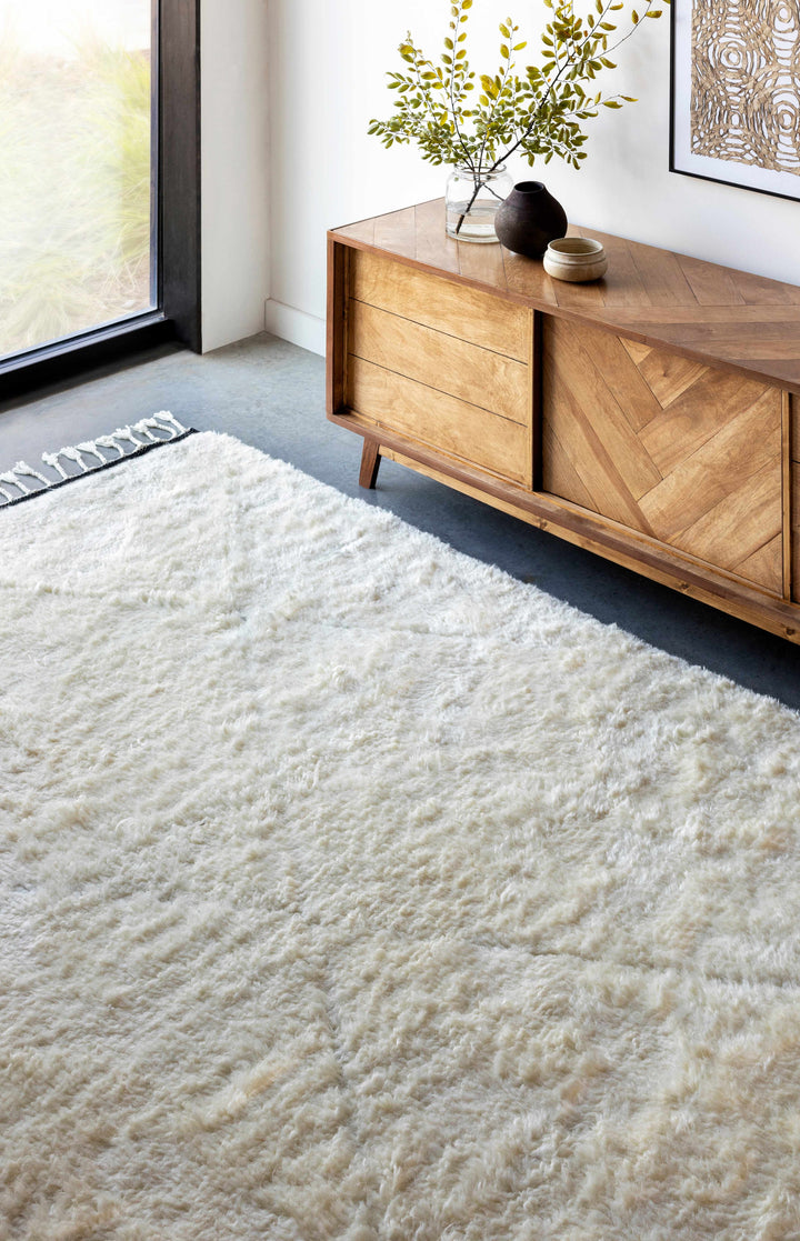 Birdwell Modern Style Ivory And Black Hand Knotted Area Rug