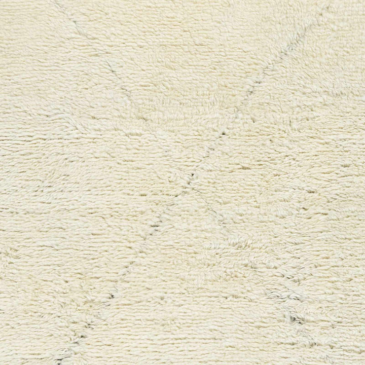 Birdwell Modern Style Ivory And Black Hand Knotted Area Rug