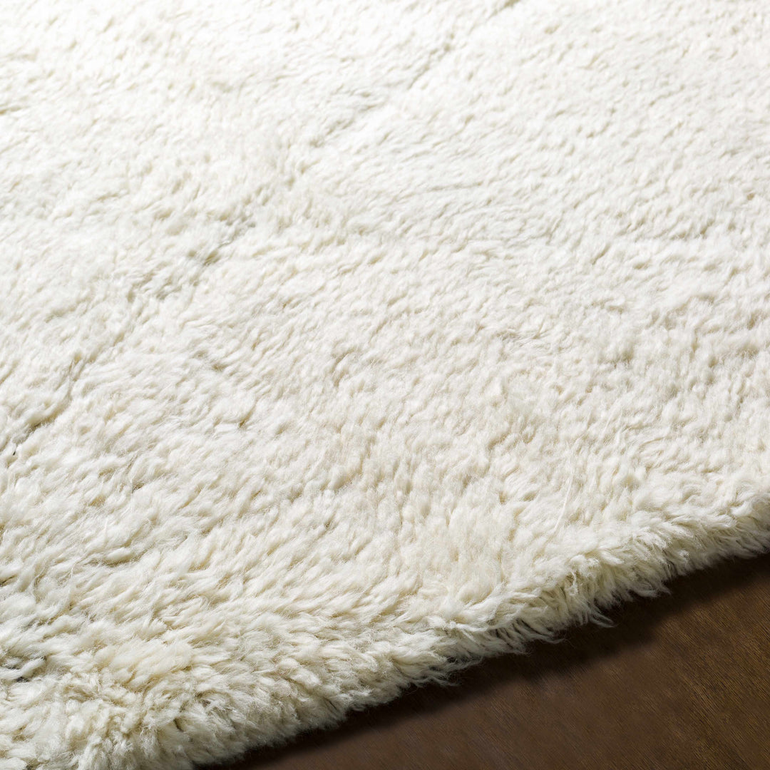 Birdwell Modern Style Ivory And Black Hand Knotted Area Rug