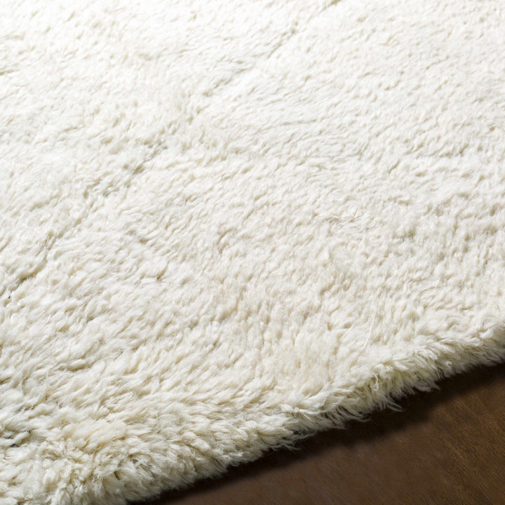 Birdwell Modern Style Ivory And Black Hand Knotted Area Rug