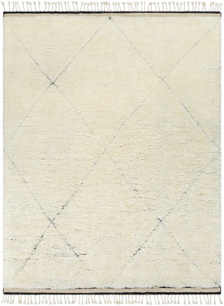 Birdwell Modern Style Ivory And Black Hand Knotted Area Rug - The Rug Decor