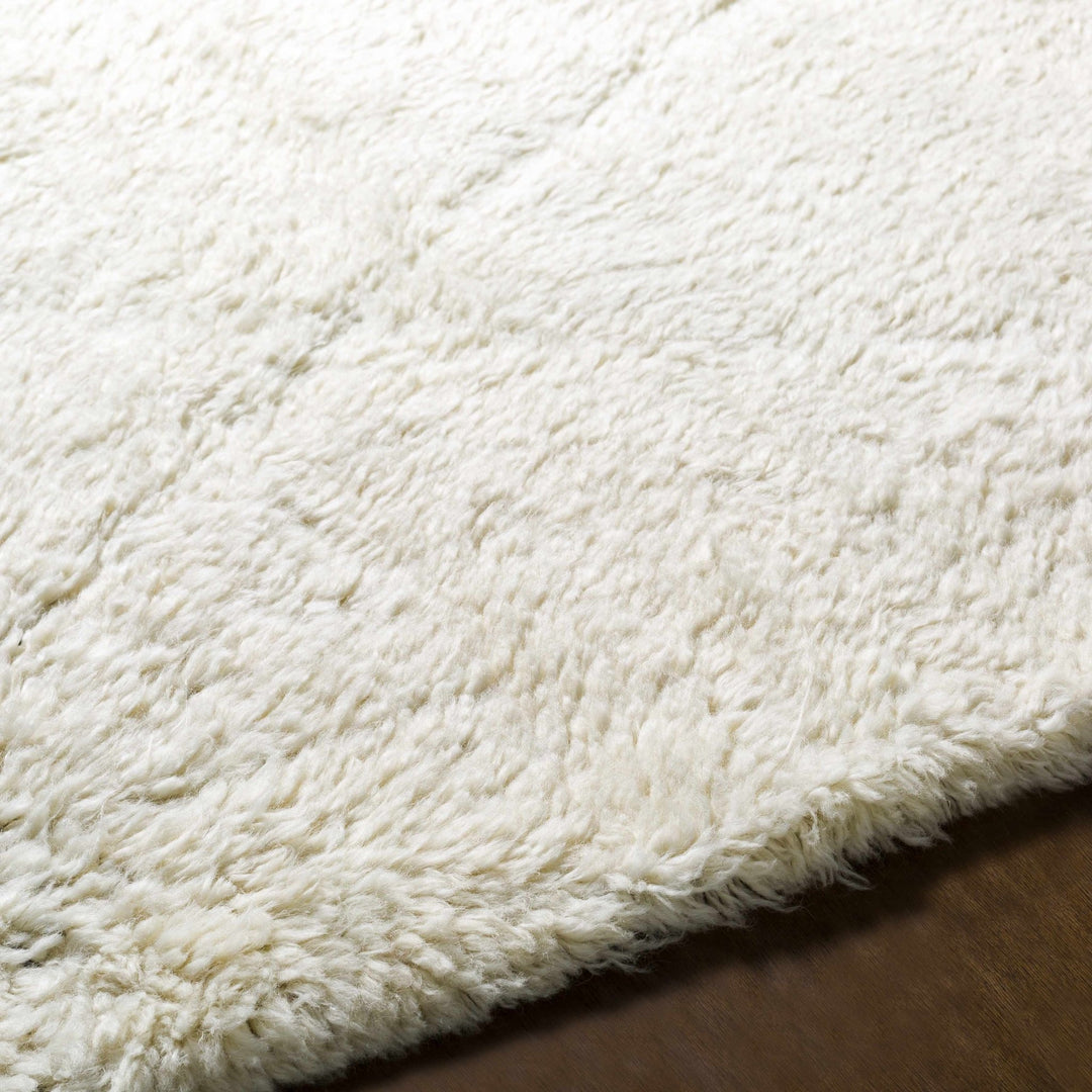 Birdwell Modern Style Ivory And Black Hand Knotted Area Rug - The Rug Decor