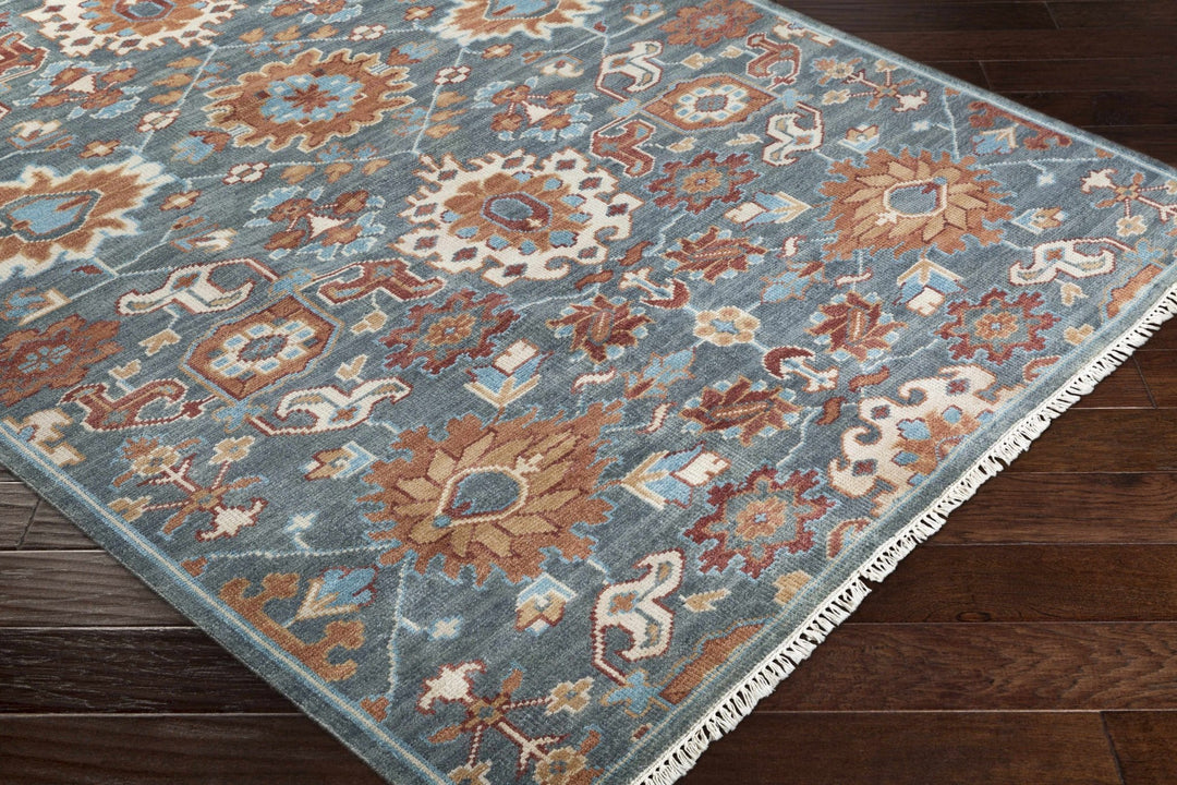 Birney Traditional Blue And Brown Hand Knotted Wool Area Rug - The Rug Decor