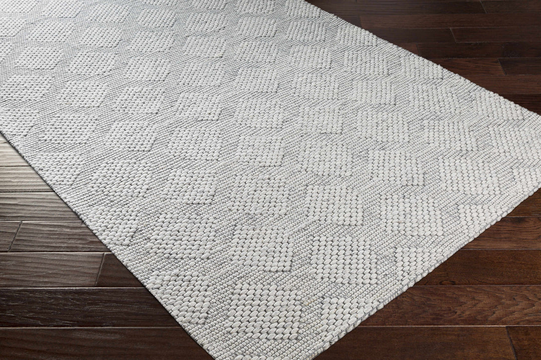 Bakersfield Hand Woven Gray Modern Style Area Rug