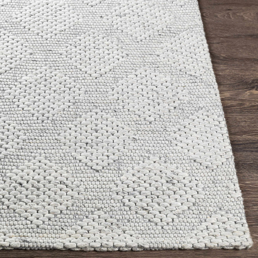 Bakersfield Hand Woven Gray Modern Style Area Rug