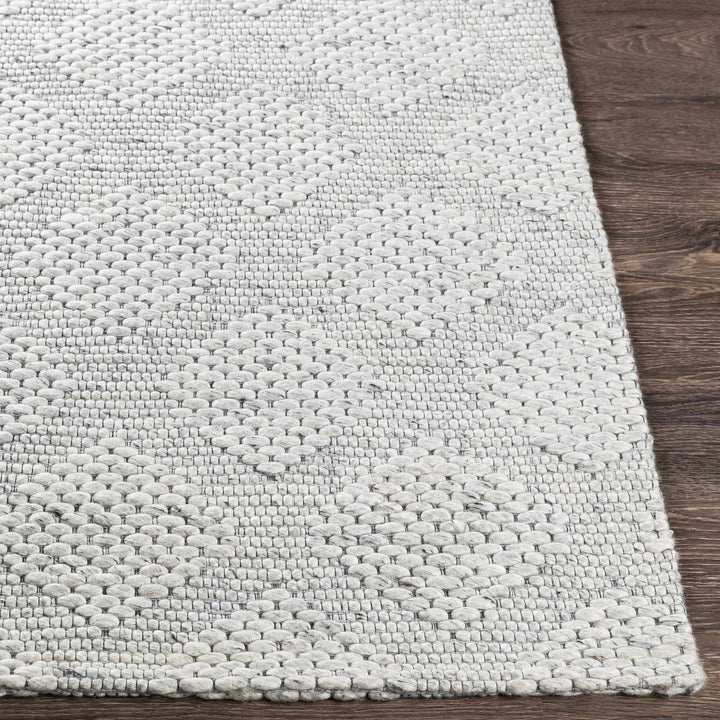 Bakersfield Hand Woven Gray Modern Style Area Rug