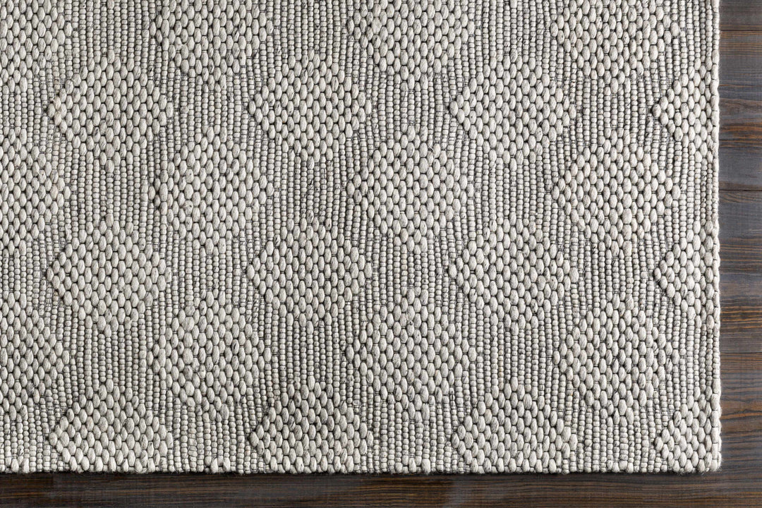 Bakersfield Hand Woven Gray Modern Style Area Rug