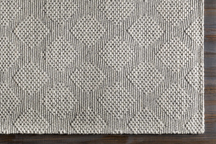 Bakersfield Hand Woven Gray Modern Style Area Rug