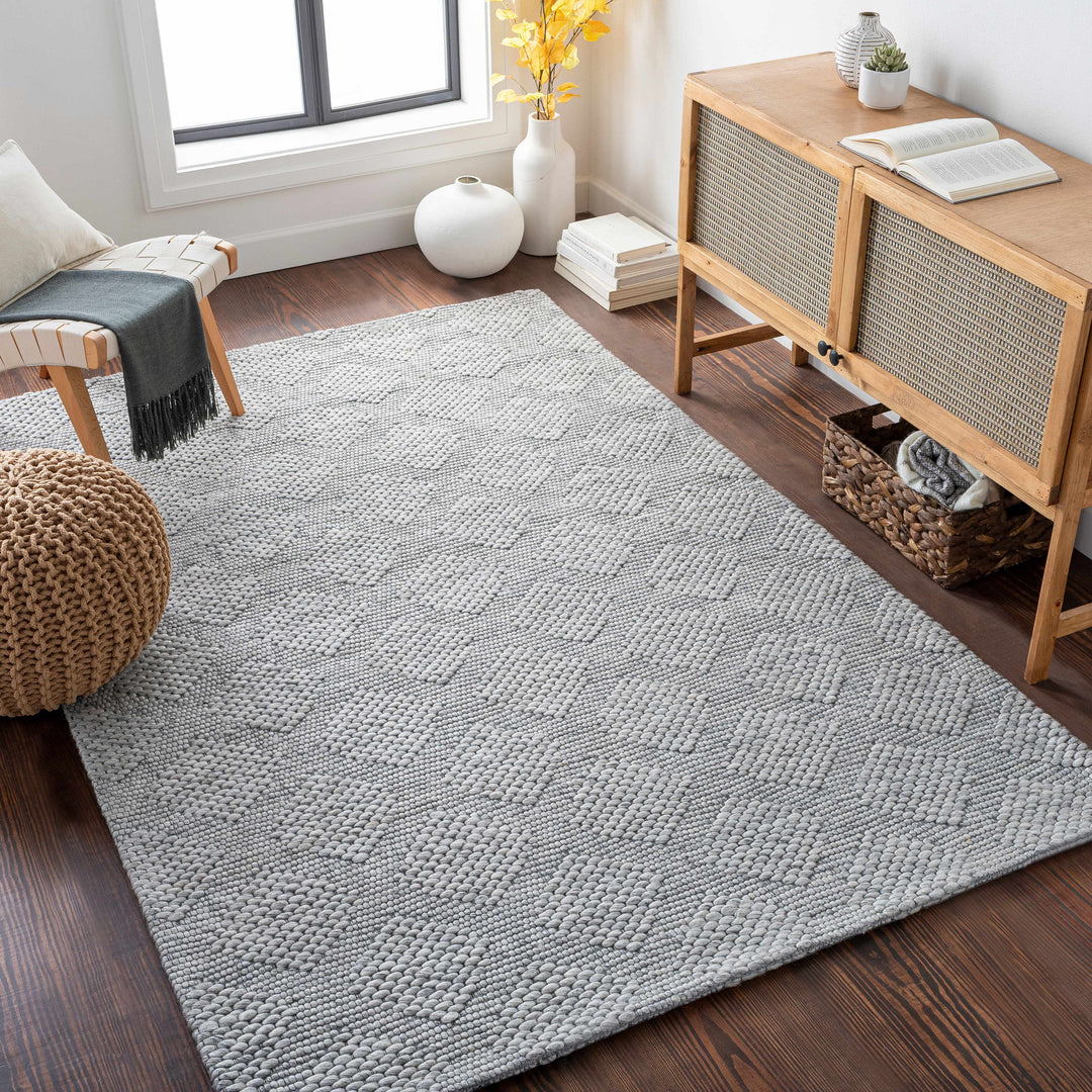 Bakersfield Hand Woven Gray Modern Style Area Rug