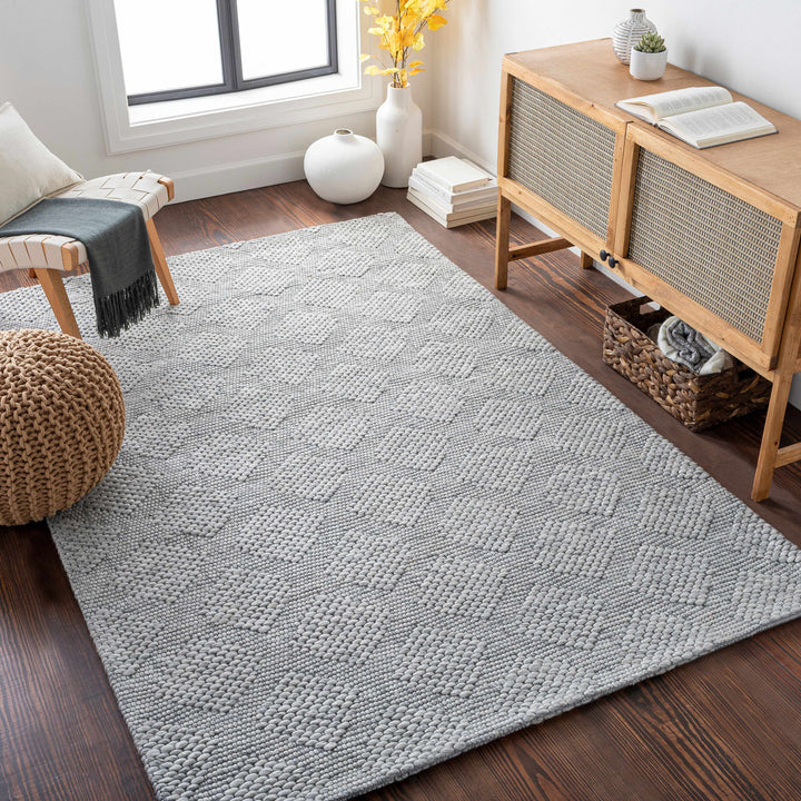Bakersfield Hand Woven Gray Modern Style Area Rug