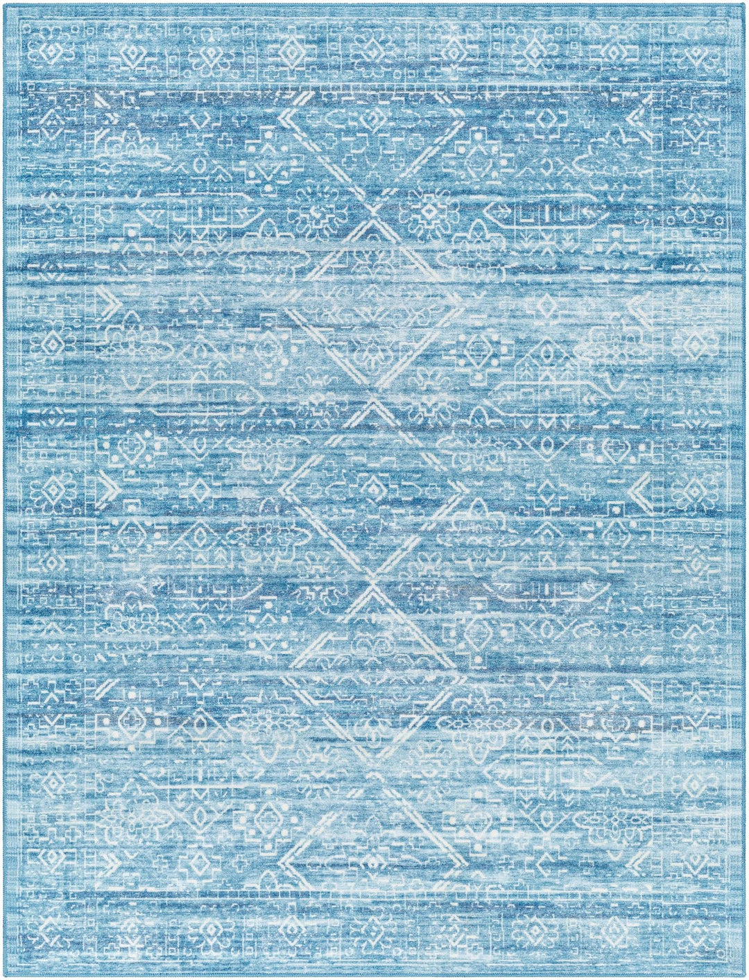 Blake Arctic Sky Traditional Style Blue Washable Area Rug - The Rug Decor