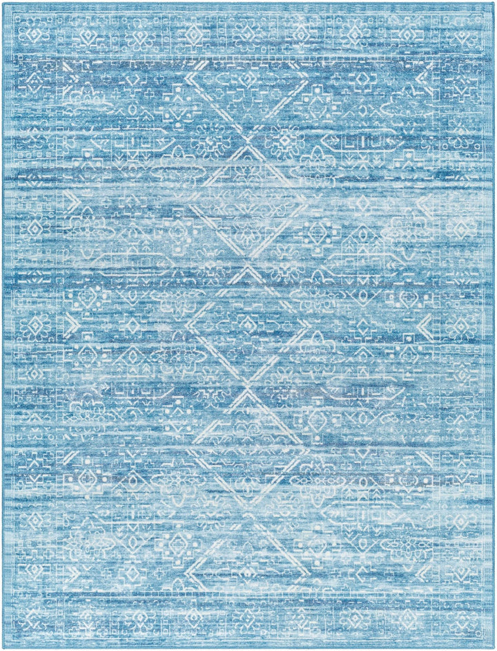 Blake Arctic Sky Traditional Style Blue Washable Area Rug - The Rug Decor