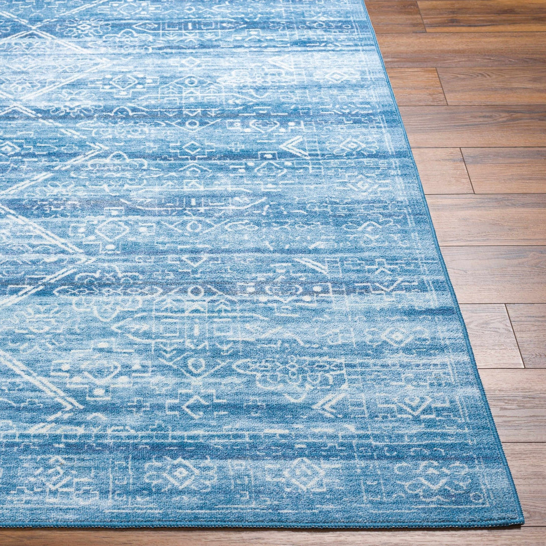Blake Arctic Sky Traditional Style Blue Washable Area Rug - The Rug Decor