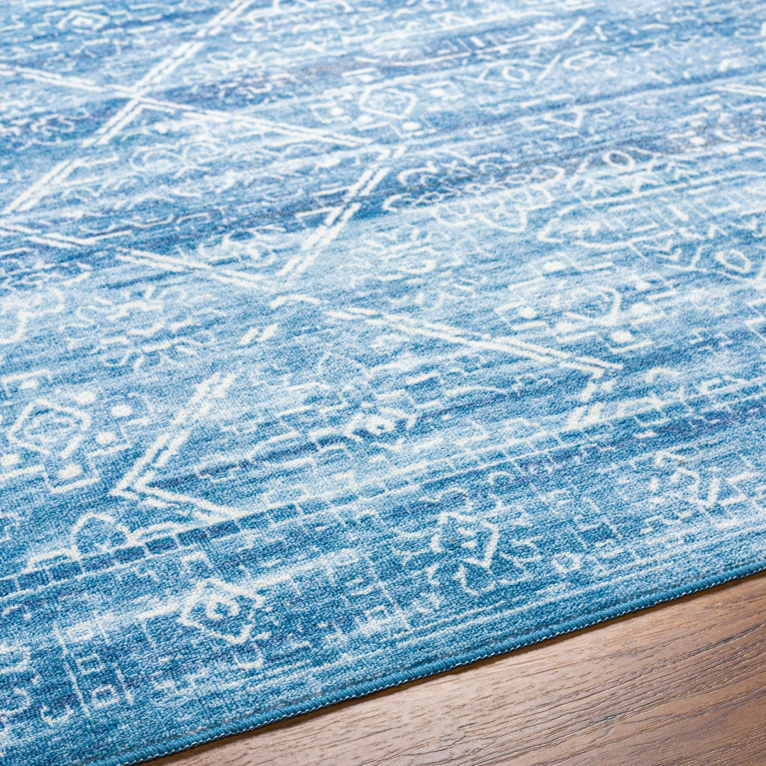 Blake Arctic Sky Traditional Style Blue Washable Area Rug - The Rug Decor