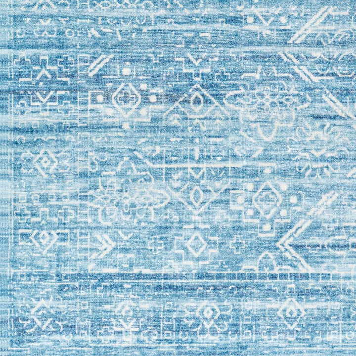 Blake Arctic Sky Traditional Style Blue Washable Area Rug - The Rug Decor