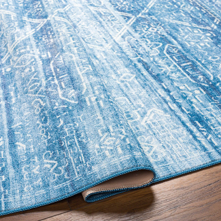 Blake Arctic Sky Traditional Style Blue Washable Area Rug - The Rug Decor