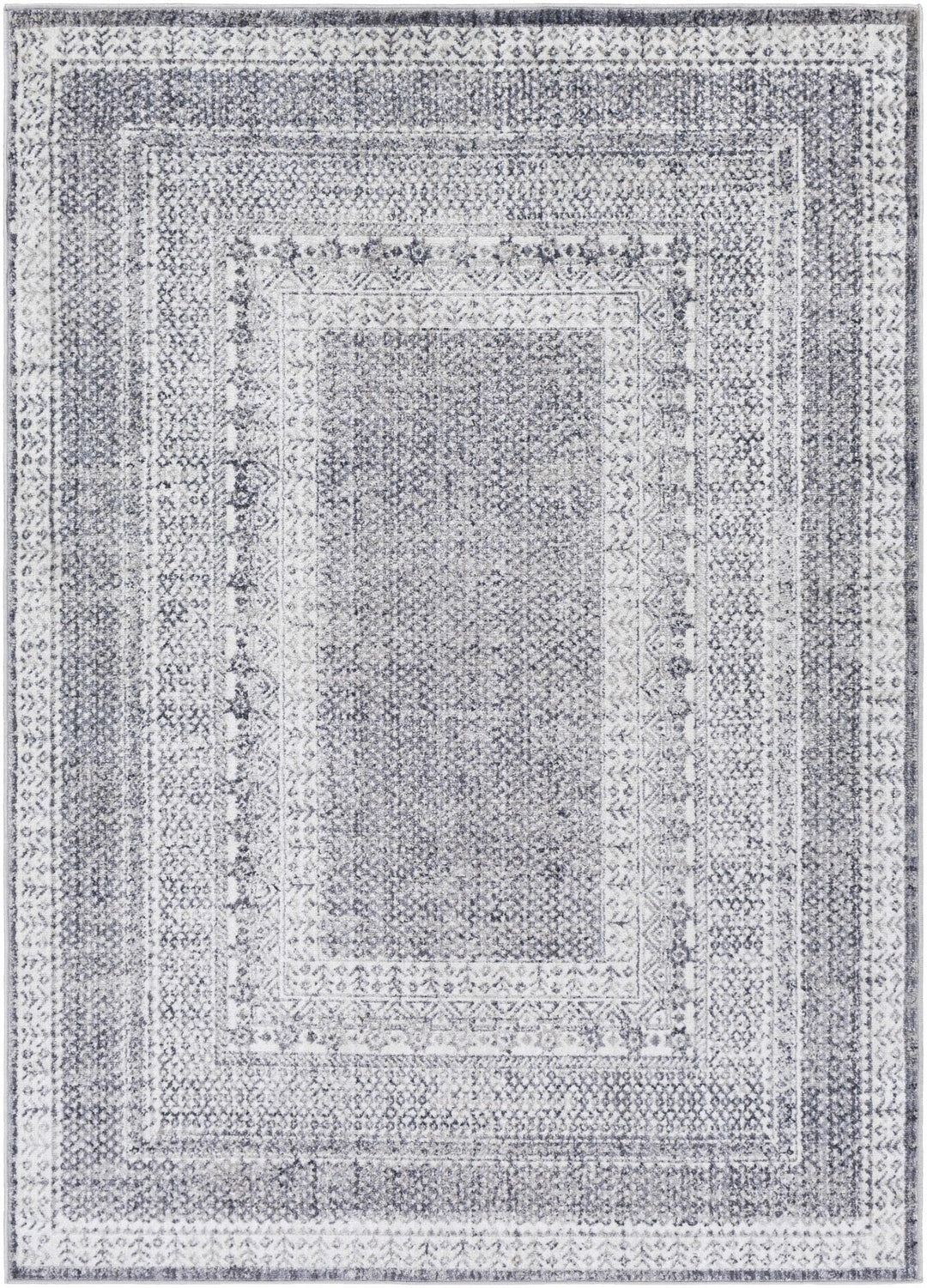 Blarney Traditional Style Ivory And Gray Area Rug - The Rug Decor