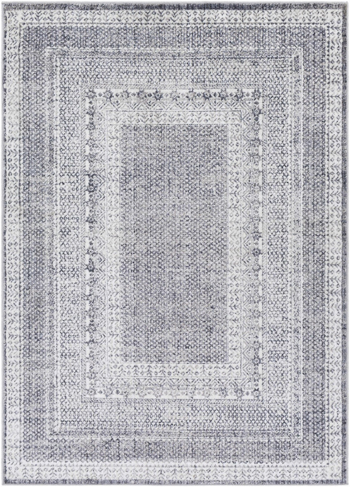 Blarney Traditional Style Ivory And Gray Area Rug - The Rug Decor