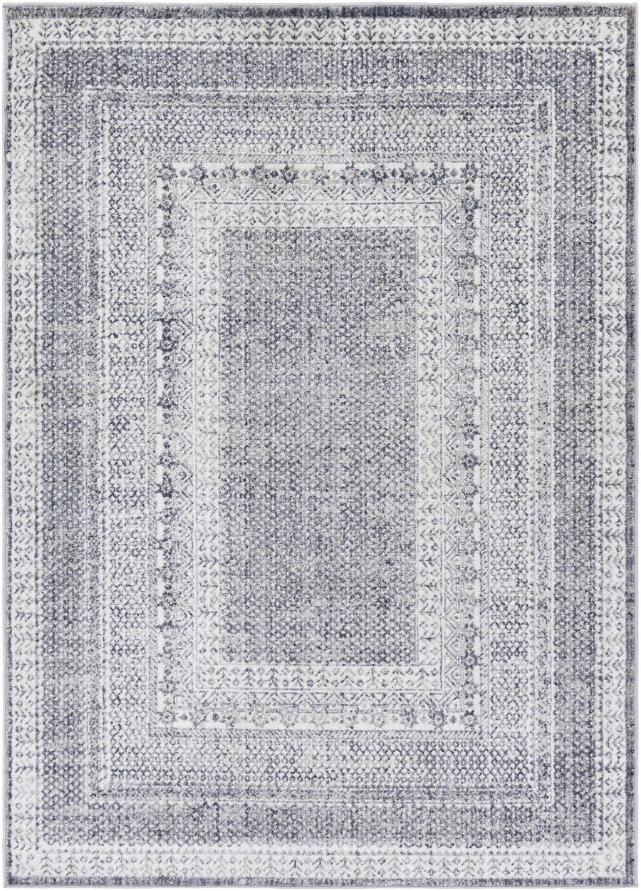Blarney Traditional Style Ivory And Gray Area Rug - The Rug Decor