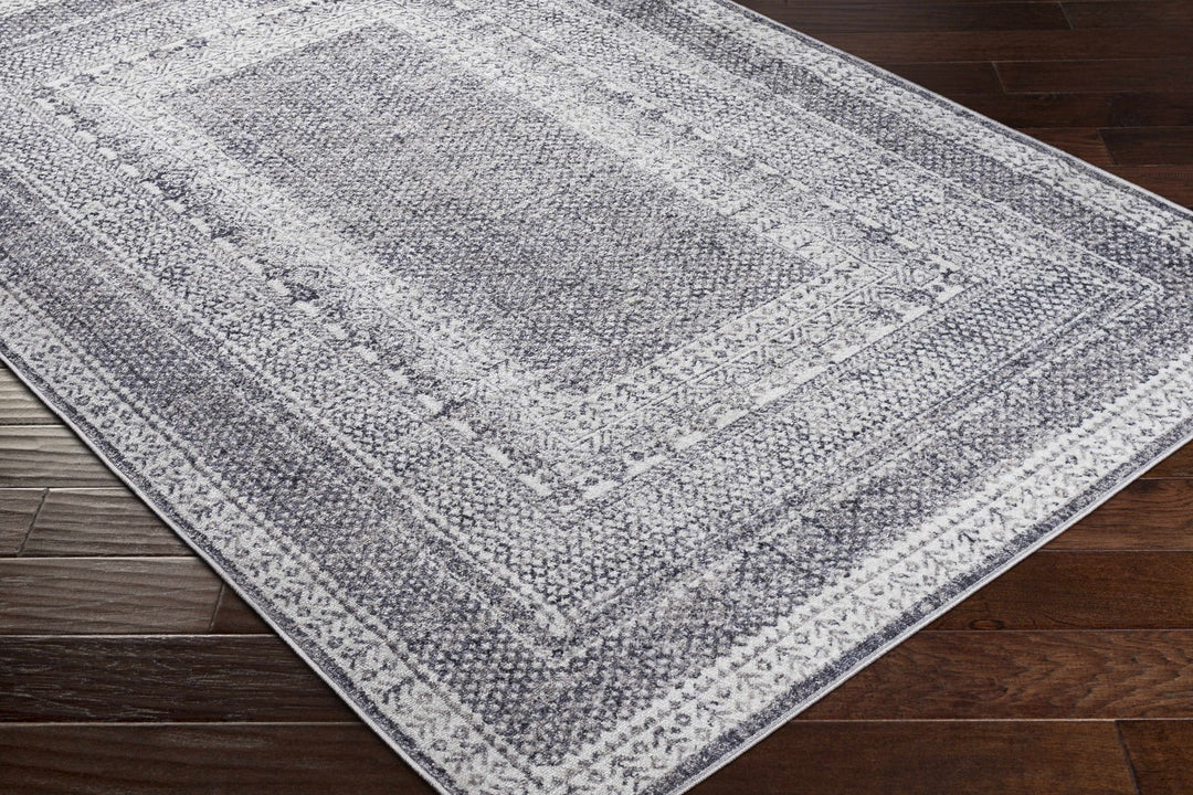 Blarney Traditional Style Ivory And Gray Area Rug - The Rug Decor