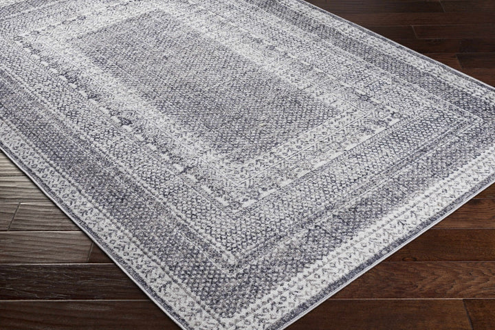 Blarney Traditional Style Ivory And Gray Area Rug - The Rug Decor