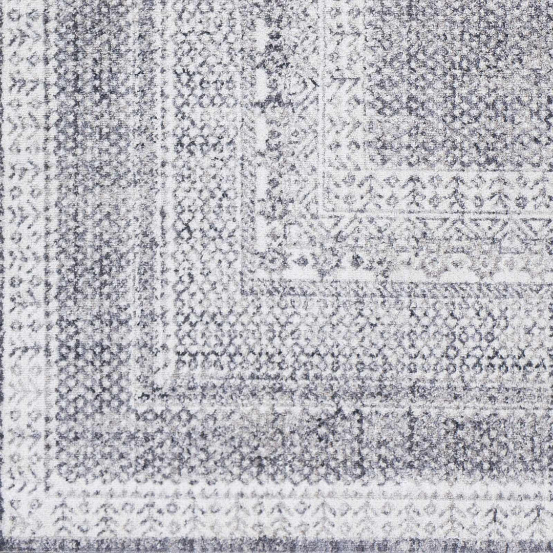 Blarney Traditional Style Ivory And Gray Area Rug - The Rug Decor