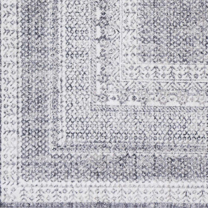 Blarney Traditional Style Ivory And Gray Area Rug - The Rug Decor
