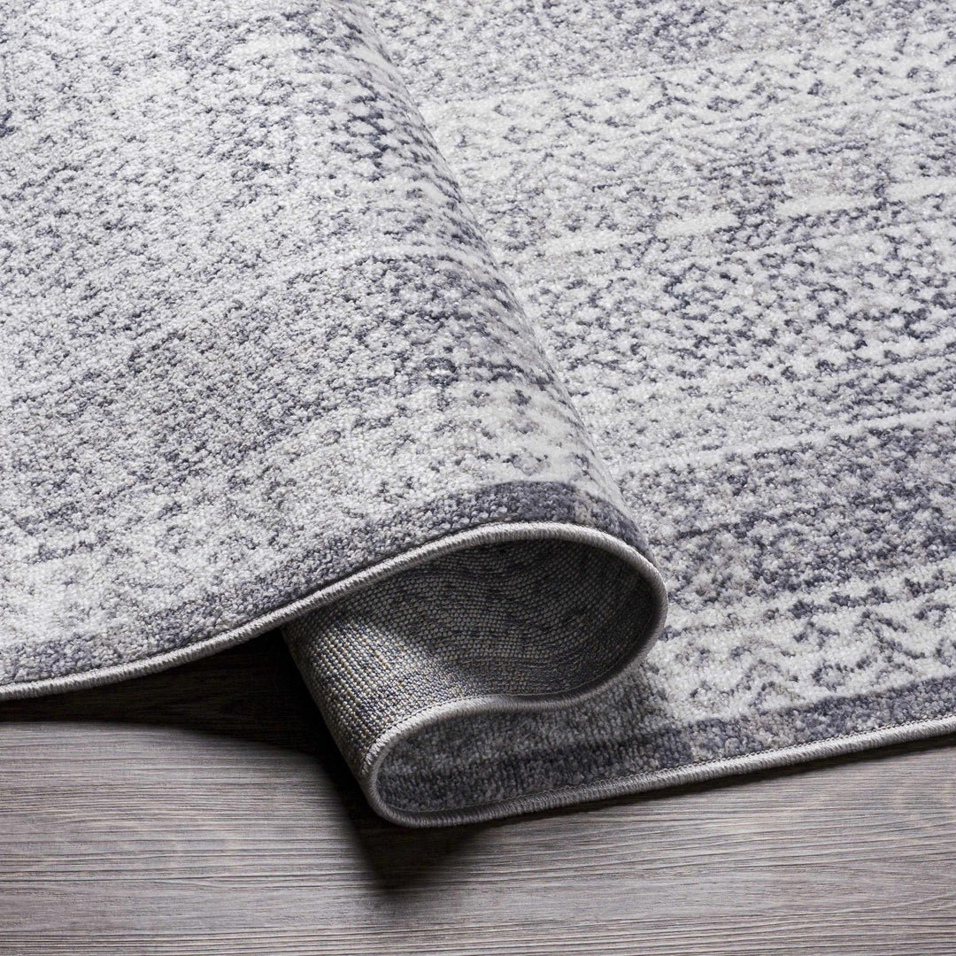 Blarney Traditional Style Ivory And Gray Area Rug - The Rug Decor