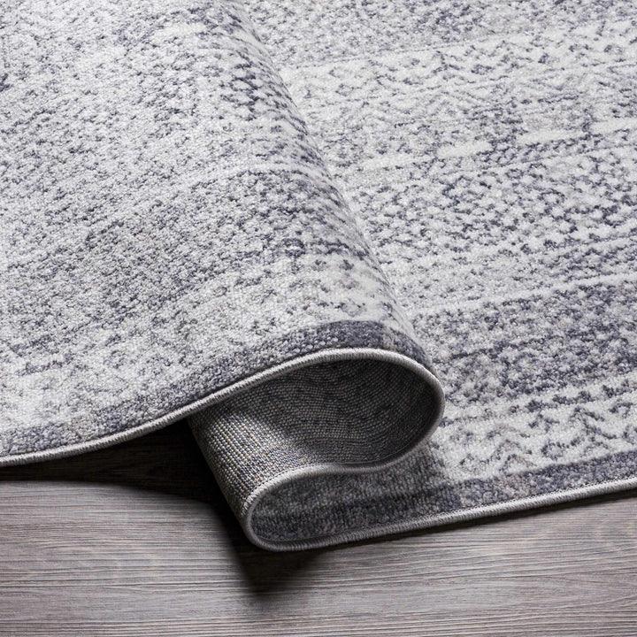 Blarney Traditional Style Ivory And Gray Area Rug - The Rug Decor