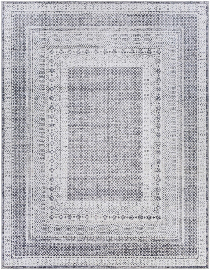 Blarney Traditional Style Ivory And Gray Area Rug - The Rug Decor