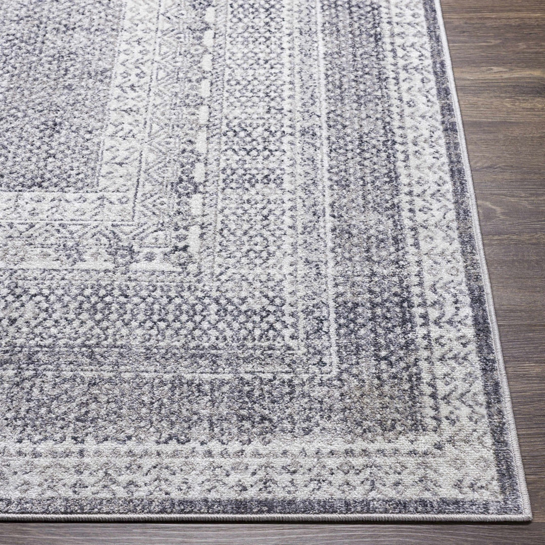 Blarney Traditional Style Ivory And Gray Area Rug - The Rug Decor