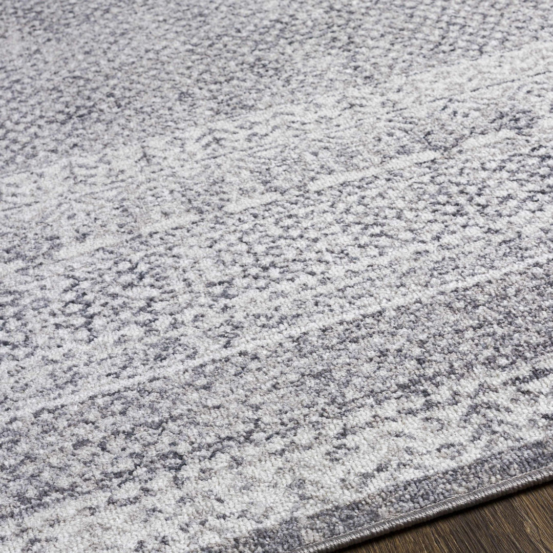 Blarney Traditional Style Ivory And Gray Area Rug - The Rug Decor
