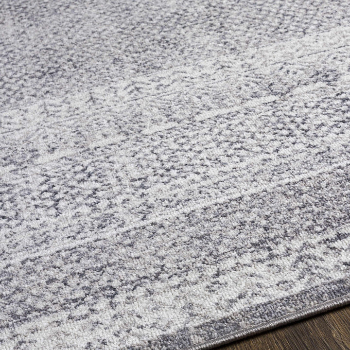 Blarney Traditional Style Ivory And Gray Area Rug - The Rug Decor