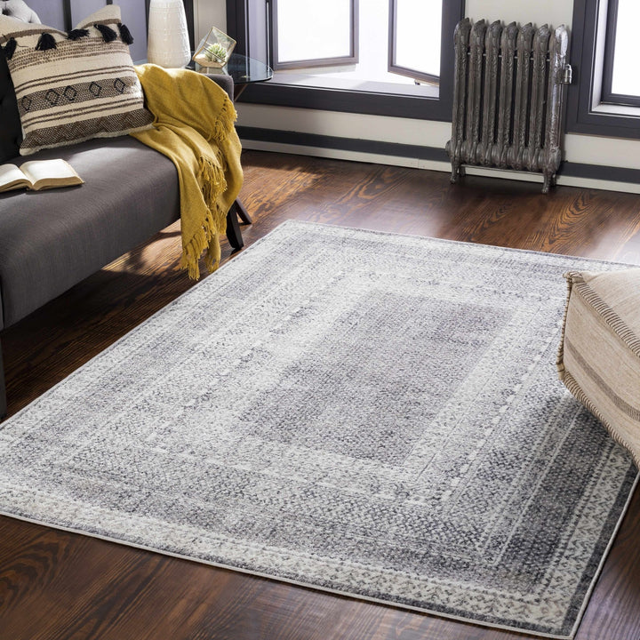 Blarney Traditional Style Ivory And Gray Area Rug - The Rug Decor